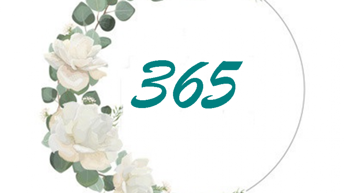 365 ceremonies union differente 1